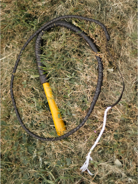 6ft Premium Swivel Handle Bullwhip